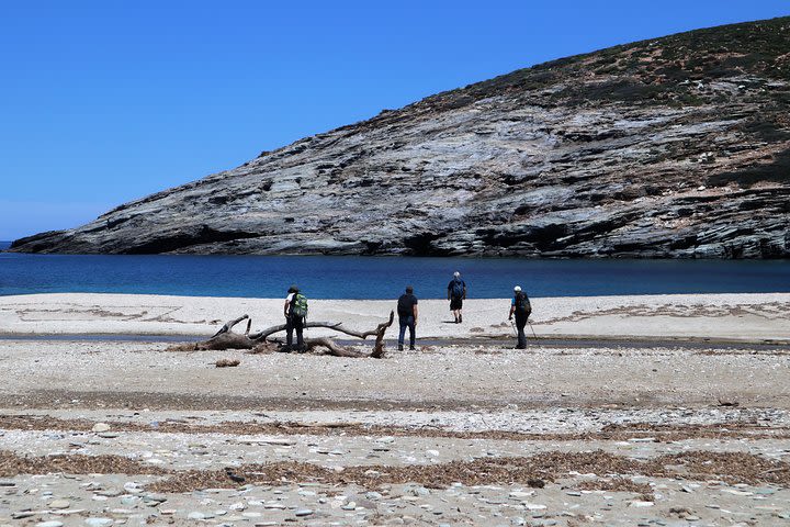 Small-Group Guided Hiking Tour in Andros with Brunch image