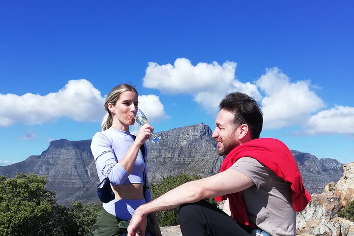 Lion's Head Hike - Private Tour image