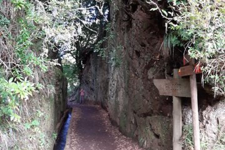 Private Walking Levada dos Balcoes image