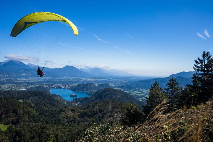 Paragliding Lake Bled image