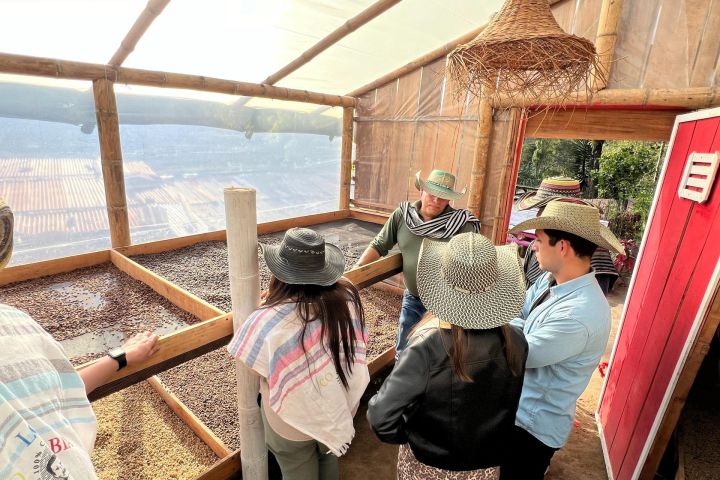 Salento Coffee Farm Shared Tour image