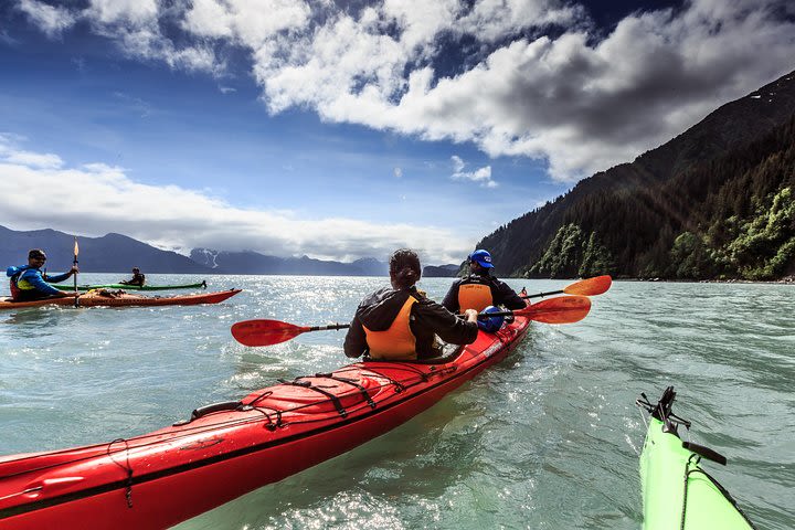 Resurrection Bay Kayaking Adventure image