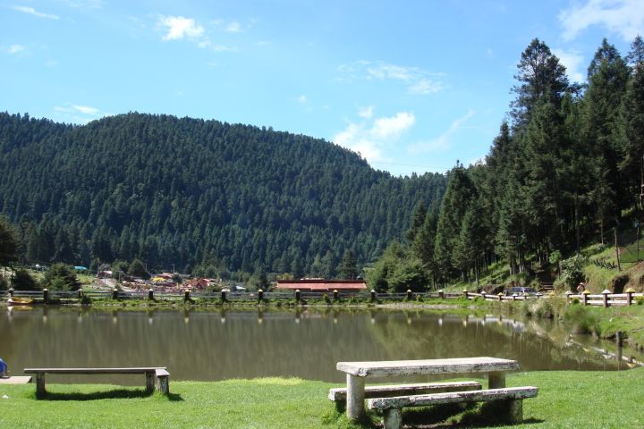 Forest Adventure ATV, Zipline & Horseback Tour CDMX image