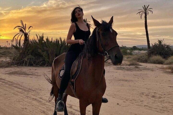 Desert Horseback Ride in Marsa Alam image