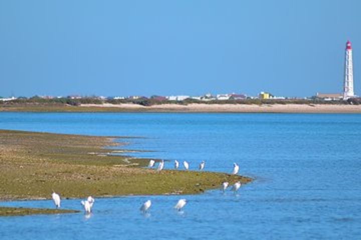 Private Ria Formosa Natural Park Boat Cruise from Faro image