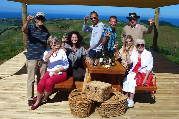 Napier Afternoon Wine Tour + Optional Beer Tasting image