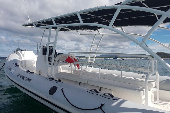 Two-Dive Tour at Las Catalinas Islands image