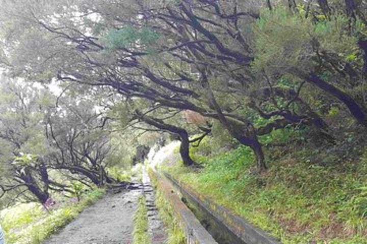 Private Guided Walk Levada 25 Fontes image