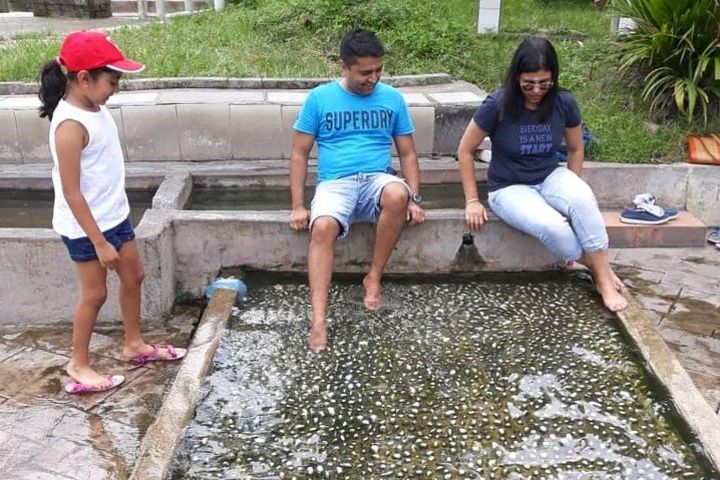 Back to Nature Tour - Templer's Park, Hot Spring & Batu Caves image