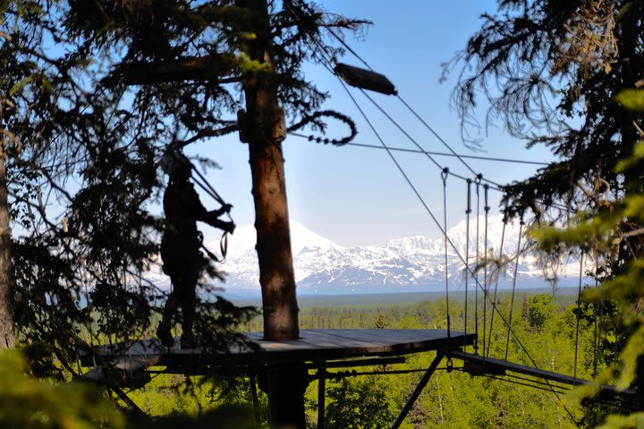 Denali Zipline Tour in Talkeetna image