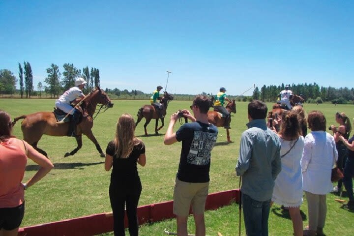 Polo Match, BBQ and Lesson Day-Trip from Buenos Aires image