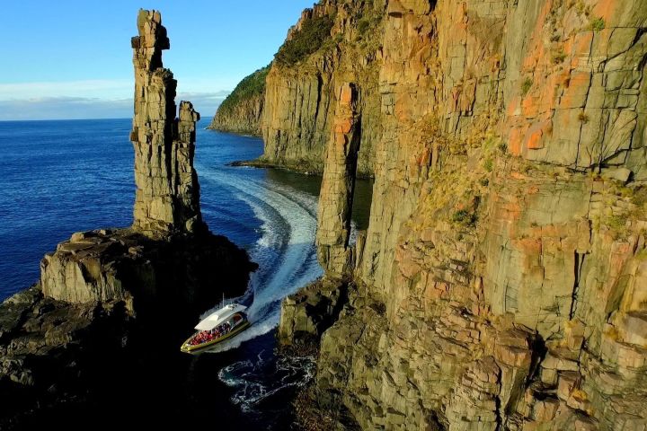 Bruny Island 3-Hour Coastal Cruise image
