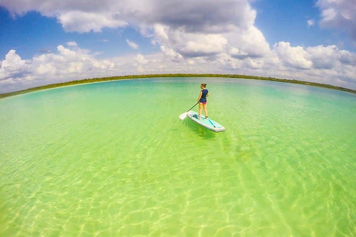 Expedition Lagoon - Private Paddleboard Tour To Tulum Lagoon + Tacos + Fotos  image