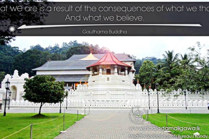 Adventure kandy and Sigiriya  image