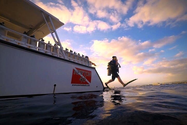 Certified Diver: 2-Tank Night Dive image