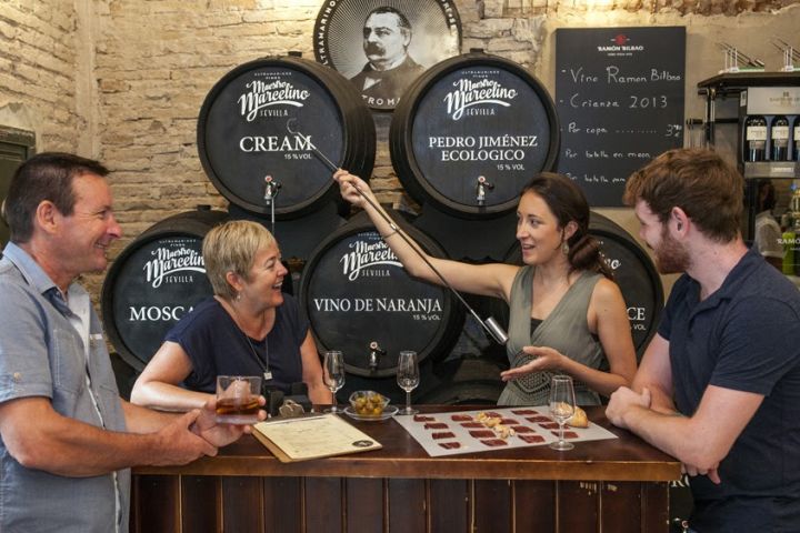 Seville Tapas & Flamenco Tour image