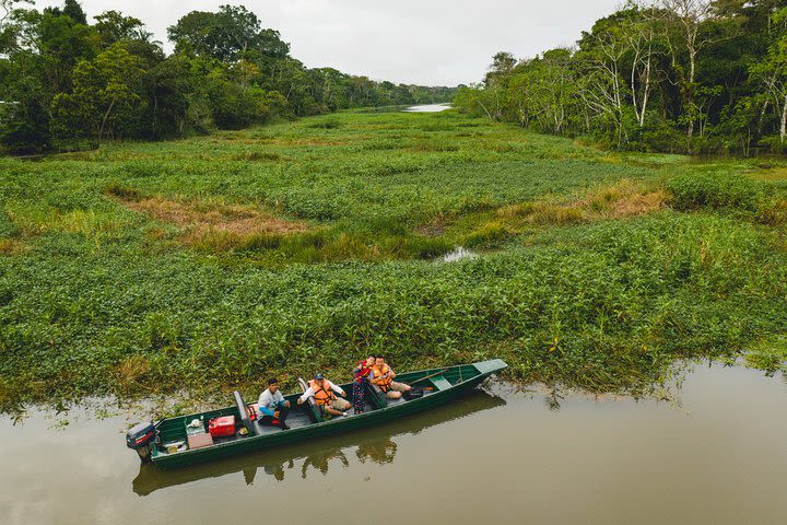 6-Days Wildlife & Camping in Tamshiyacu-Tahuyo Reserve at Curassow Amazon Lodge image