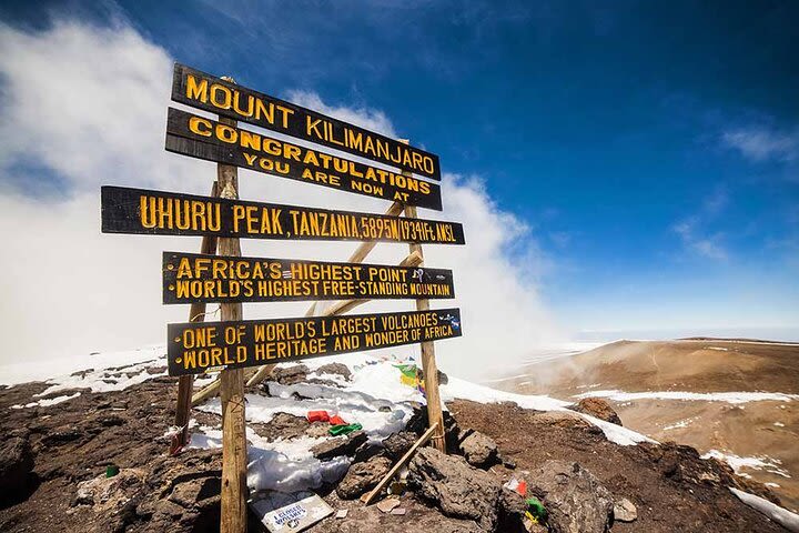 Day trip Mount Kilimanjaro hiking  image