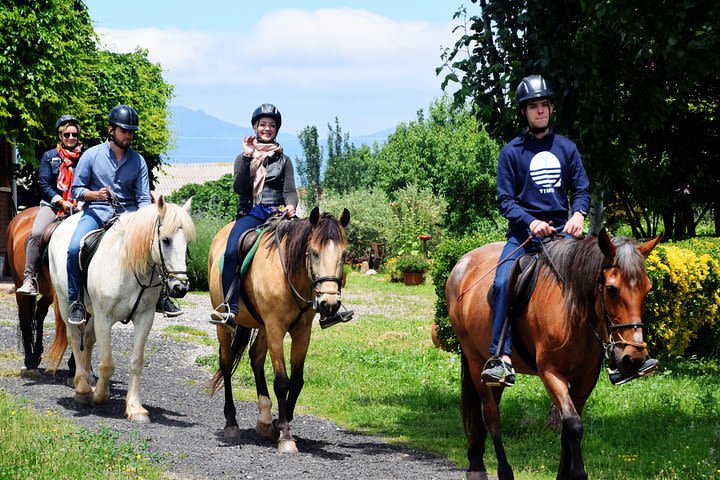 Horseback riding through the vineyards of the Rioja Wine Country image