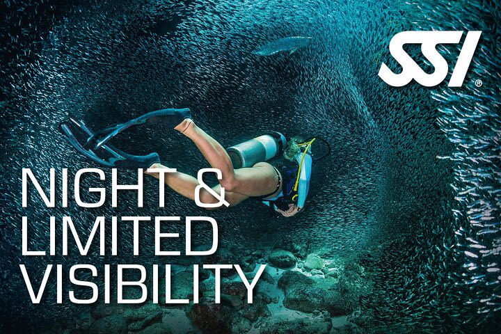 SSI Night Dive Specialty in Tenerife image