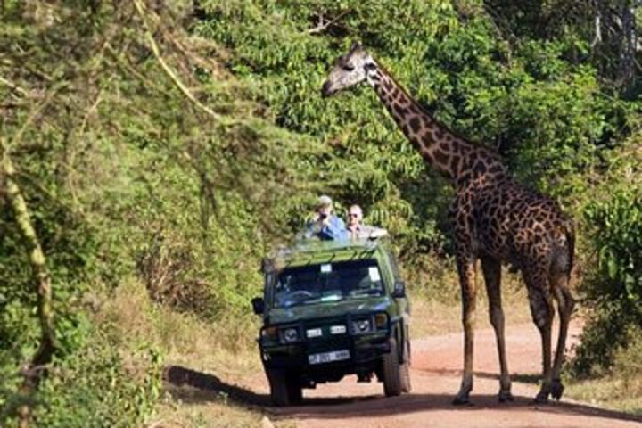 6 days privates camping Tarangire, Serengeti, Ngorongoro & Lake Manyara image