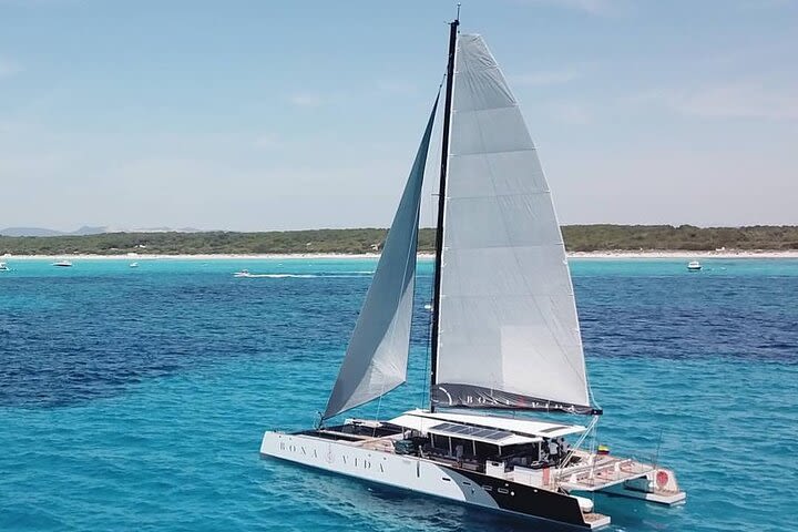 Catamaran Ride with Excursion to the Island of Barù image