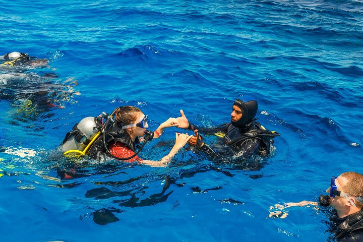 Diving in the Mediterranean sea image