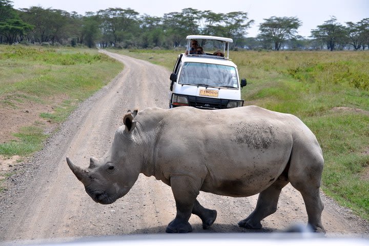 10 Days Northern & Southern Kenya Savannah Private Safari image