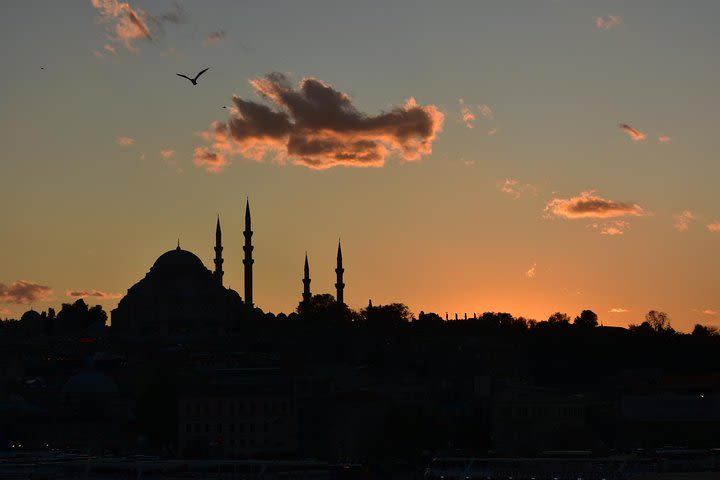 Suleiman the Magnificent Tour in Istanbul image