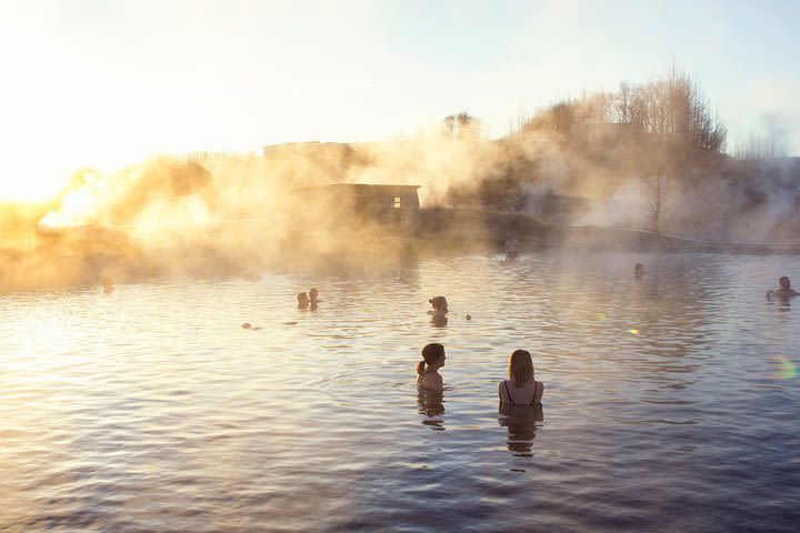 Golden Circle with Secret Lagoon and Fridheimar Farm in small group  image