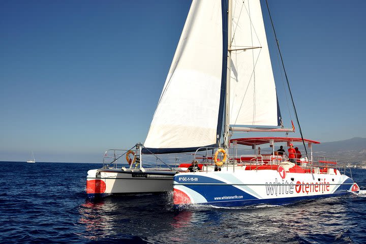 Watching and listening whales and dolphins in Tenerife image