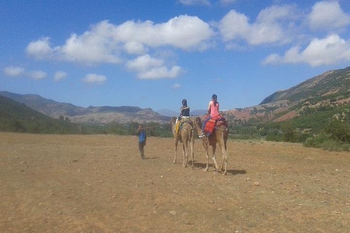 Private Day Trip from Marrakech: Camel Ride and Hike in the High Atlas Mountains image