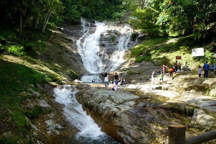 Full-day Cameron Highlands Day Trip from Kuala Lumpur image