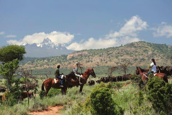 6 Day best of mid northern Kenya image