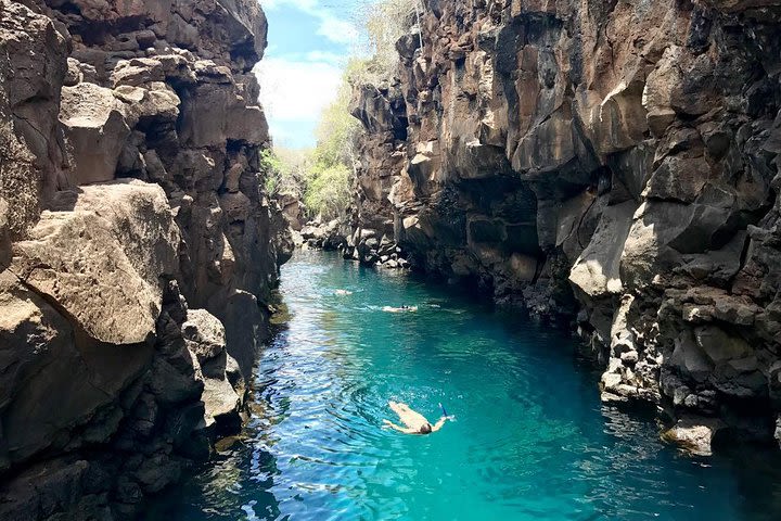 4 Days Galápagos – “Las Grietas and Tortuga Bay Tour” image