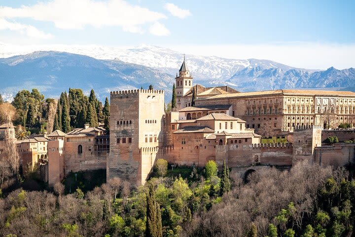 Alhambra: Nasrid Palaces & Generalife Guided Tour (Ticket included) image