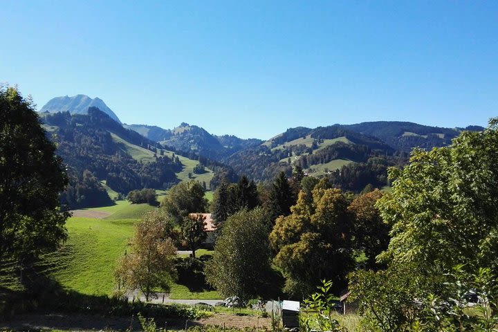 Winter Gruyeres, chocolate tour in the Swiss countryside from Geneva image