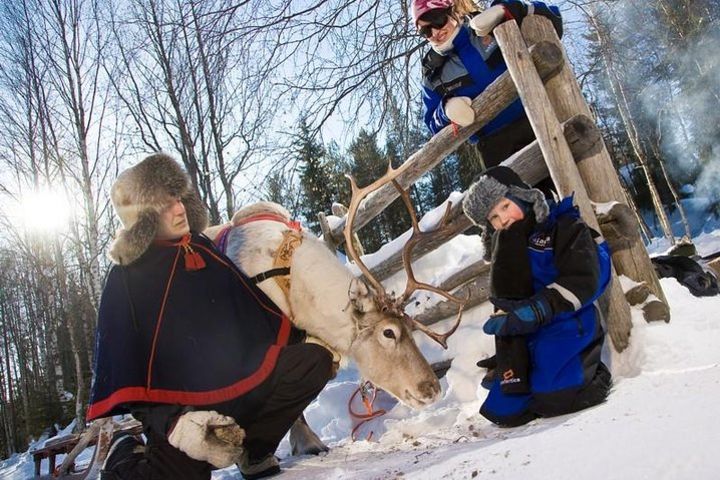 In Pursuit of Reindeer - Snowmobile safari to reindeer farm in Rovaniemi image