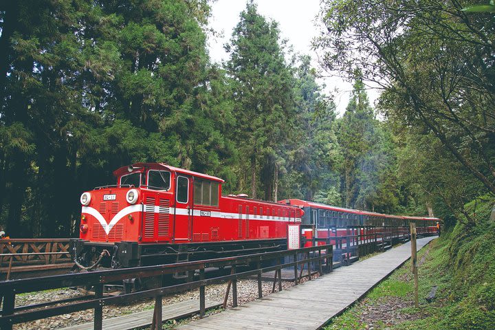 3-Day Tour of Sun Moon Lake, Puli and Alishan National Scenic Area from Taipei image