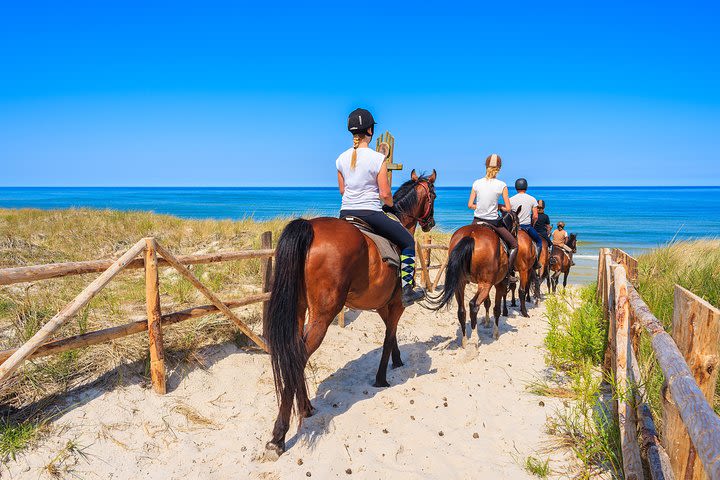 Horse Riding at the Golden Sandy Beach of Antalya image
