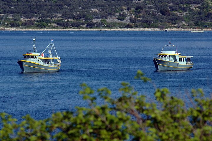 Islands afternoon cruise with coffee and croissant image