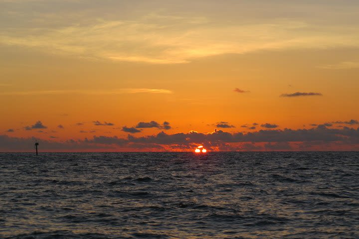 Sunset Cruise over the Gulf of Mexico image