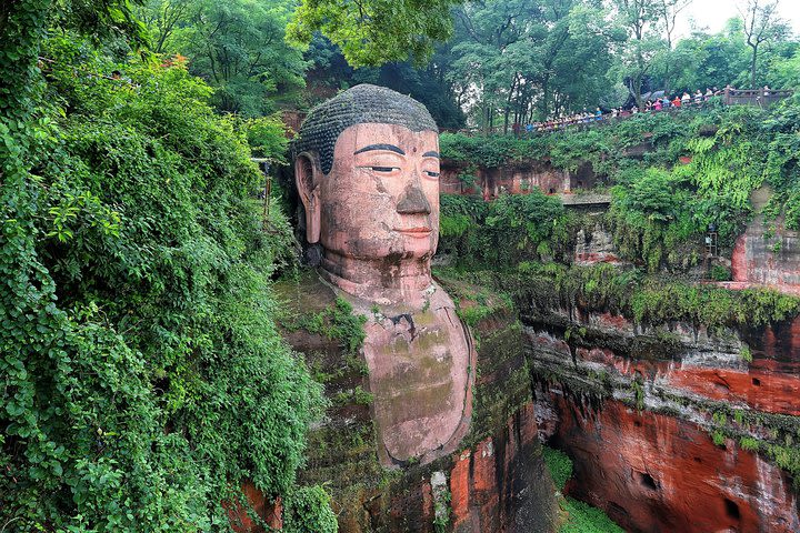 Panda and Leshan Buddha Small Group Tour  image