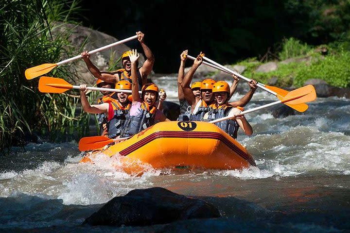 Rafting & Ubud Monkey Tour image