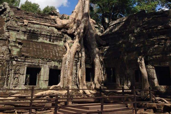 Half-Day Ta Prohm and Banteay Kdei Tour image