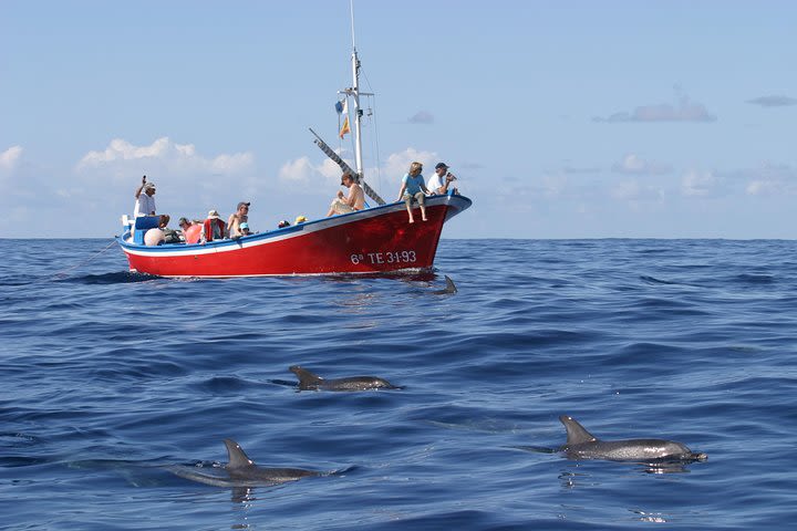 Whalewatching La Gomera image