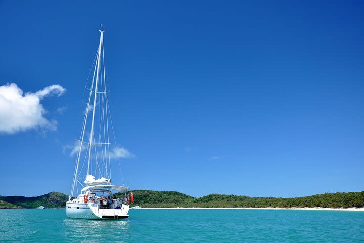 Sailing Curlew Escape on Moreton Bay image