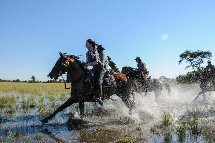 Horse Riding image