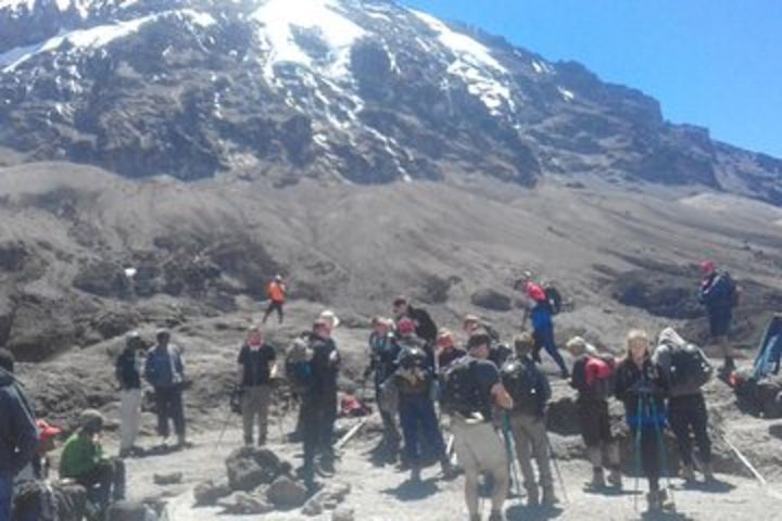 8 days Lemosho route, Mt.Kilimanjaro image