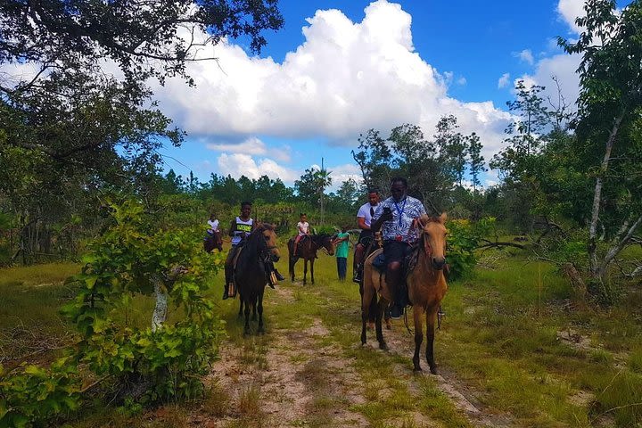 Countryside Horseback Riding Tour from Belize City image